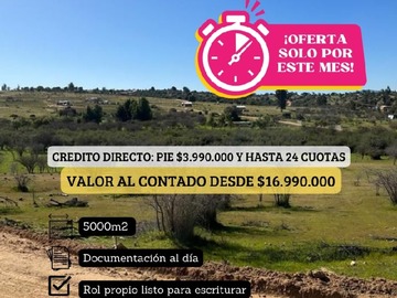 Imagen 4