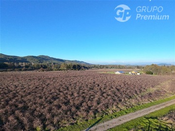 Imagen 6