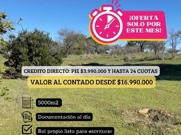 Imagen 10