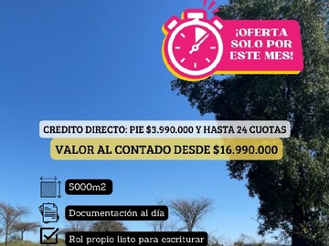 Imagen 6
