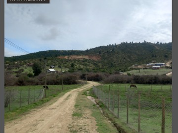 Imagen 7