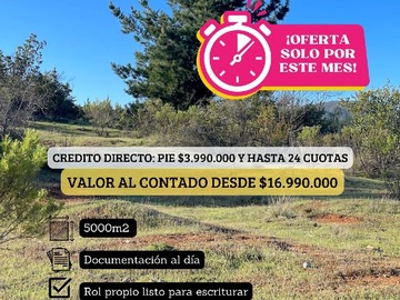 Imagen 6