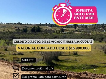 Imagen 7
