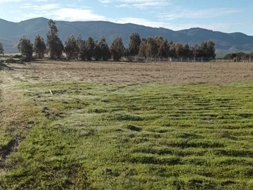 Venta / Parcela / San Javier de Loncomilla