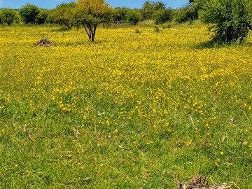 Imagen 9
