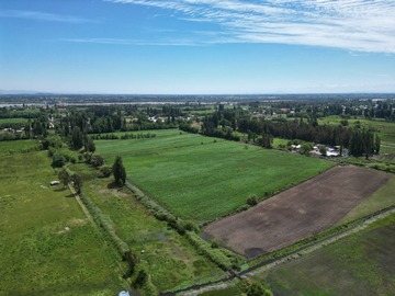 Venta / Parcela / San Javier de Loncomilla