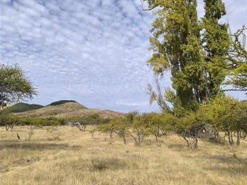 Imagen 8
