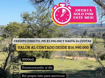 Imagen 8