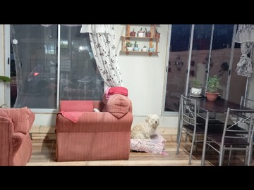 Imagen 4