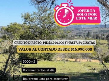 Imagen 8