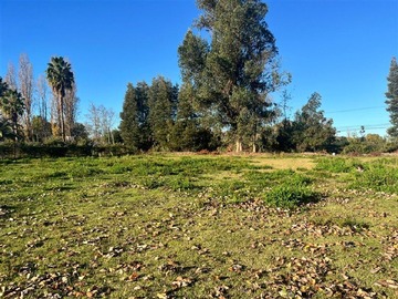 Venta / Parcela / San Javier de Loncomilla