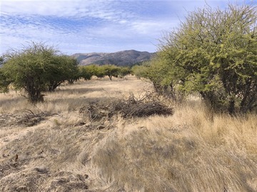 Imagen 10