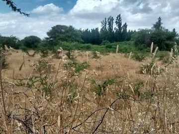 Venta / Parcela / San Javier de Loncomilla