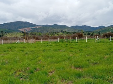 Venta / Parcela / San Javier de Loncomilla