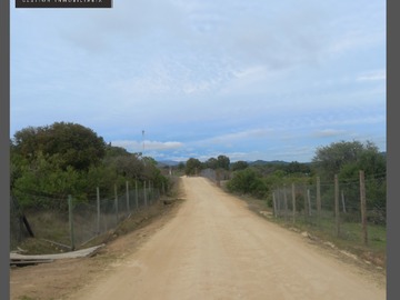 Imagen 6