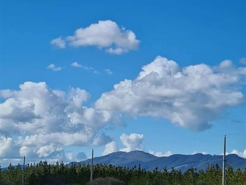 Venta / Parcela / San Javier de Loncomilla