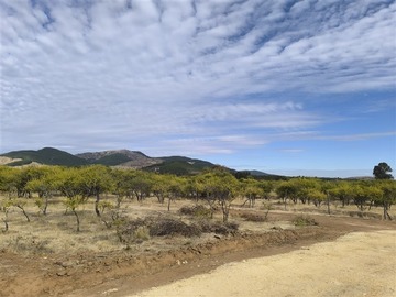 Imagen 18