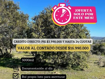 Imagen 12