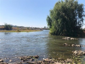 Venta / Parcela / San Javier de Loncomilla