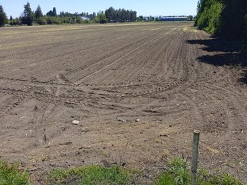 Venta / Parcela / San Javier de Loncomilla