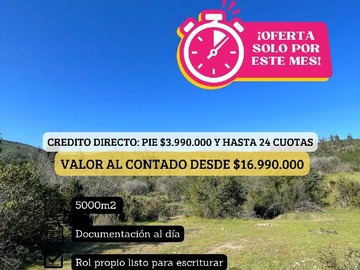Imagen 11