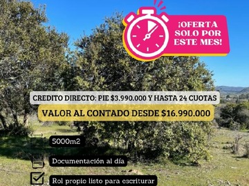 Imagen 7
