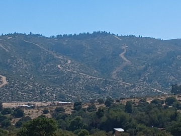 Venta / Parcela / San Javier de Loncomilla
