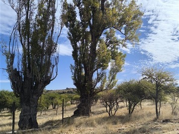 Imagen 8