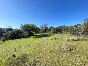 Venta / Parcela / San Javier de Loncomilla
