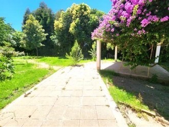 Imagen 8