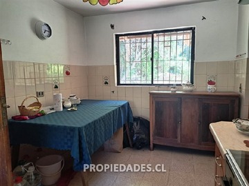 Imagen 11