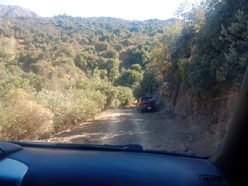 Imagen 7