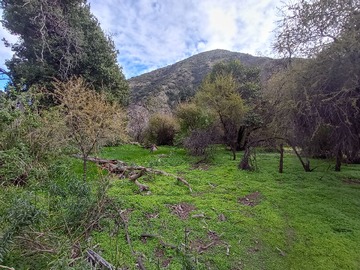 Imagen 9