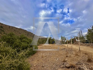 Imagen 12