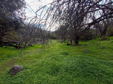 Imagen 21