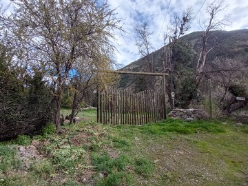 Imagen 6