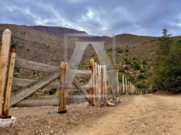 Imagen 20
