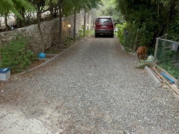 Imagen 6