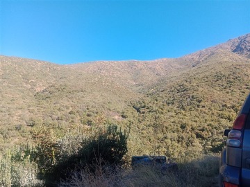 Imagen 5