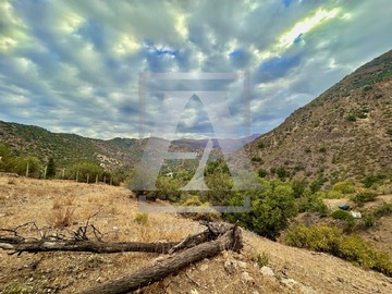 Imagen 7