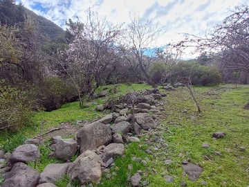 Imagen 18