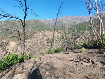 Imagen 9
