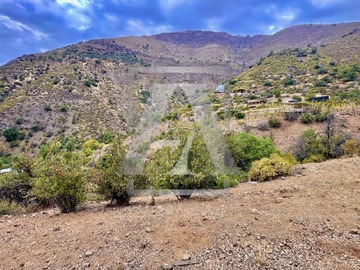 Imagen 11