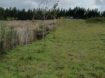 Imagen 9