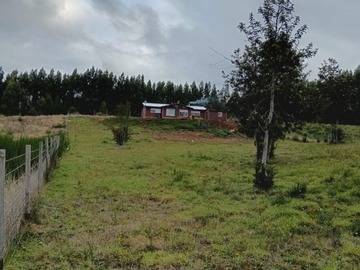 Imagen 8