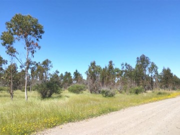 Venta / Parcela / San Nicolás