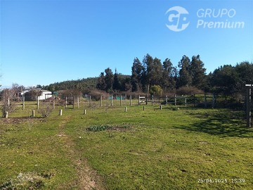 Imagen 5