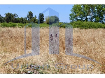 Imagen 16