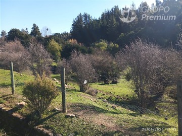 Imagen 10