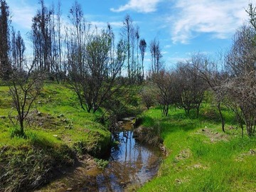 Venta / Parcela / San Nicolás